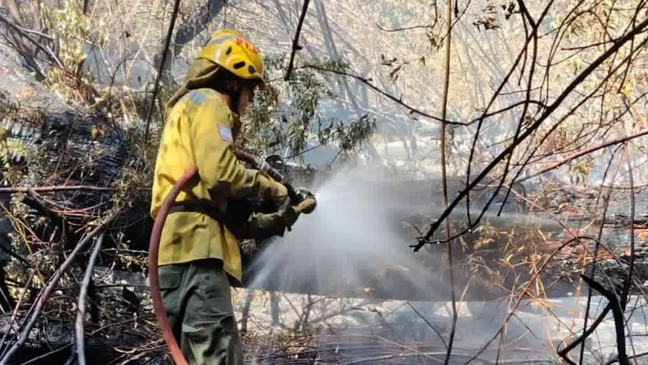 “Es desolador”: el intendente de Epuyén confirmó cuántas viviendas se quemaron por los incendios en Chubut
