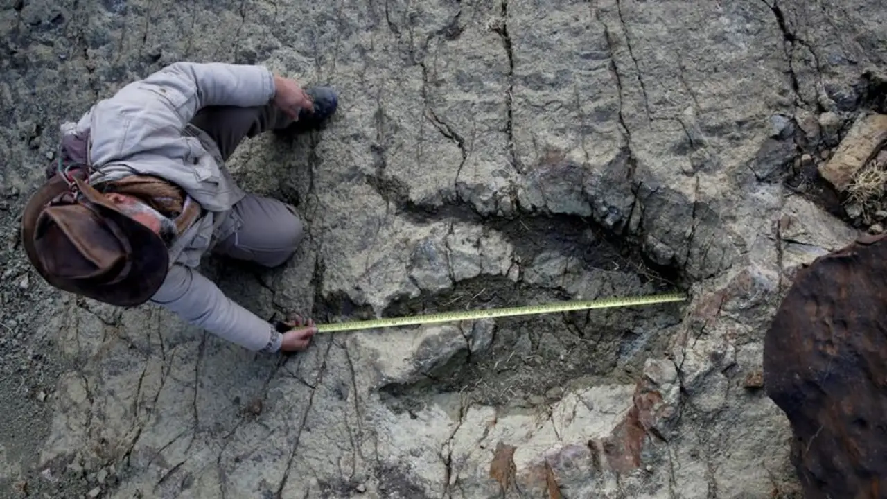 Un nuevo método de IA ayuda a identificar qué dinosaurio dejó qué huellas