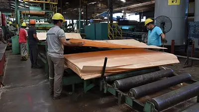 Alivio fiscal, desarrollo productivo y empleo: Misiones elevó el piso de Ingresos Brutos y el sector PyME celebró la medida Alivio fiscal, desarrollo productivo y empleo: Misiones elevó el piso de Ingresos Brutos y el sector PyME celebró la medida