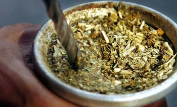 Cuál es la hierba aromática que muchos le suman al mate pero provoca acidez | Consejos de salud