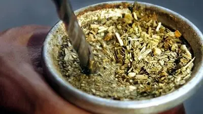 Aunque es una de las hierbas más usadas para saborizar el mate, esta aromática puede favorecer la acidez y el reflujo. Por qué conviene evitarla. Aunque es una de las hierbas más usadas para saborizar el mate, esta aromática puede favorecer la acidez y el reflujo. Por qué conviene evitarla.