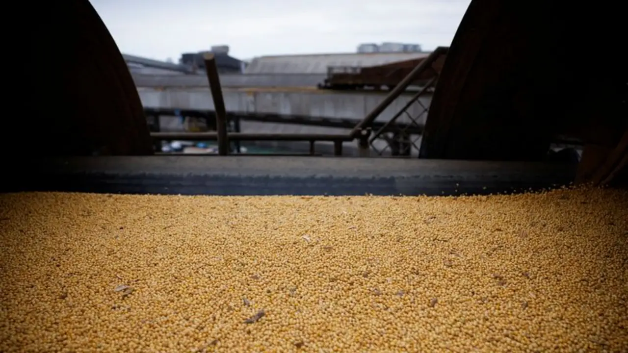 Cosecha de soja de Brasil 2025/26 alcanza 16% de la superficie, según AgRural