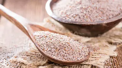 Psyllium Psyllium