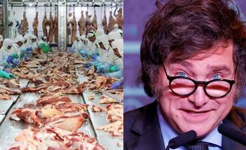 Despidieron a más de 180 trabajadores en el Frigorífico Pico | Crisis económica