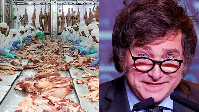 Frigorífico y Javier Milei Frigorífico y Javier Milei