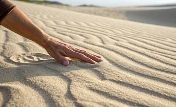 Podés sentir objetos sin tocarlos: un estudio amplía los límites del tacto | Curiosidades