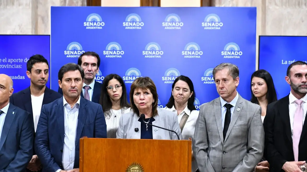 Cambios en las PASO por votos: la propuesta aliada para apoyar la reforma electoral en el Senado