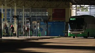 Nace una nueva línea de colectivos en Buenos Aires: qué ciudades une, las paradas y horarios oficiales Nace una nueva línea de colectivos en Buenos Aires: qué ciudades une, las paradas y horarios oficiales