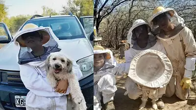 Quién es Suavecito el perro apicultor. Quién es Suavecito el perro apicultor.