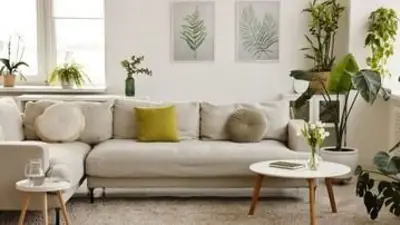 Feng Shui Feng Shui
