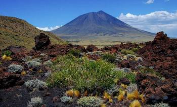 Qué hacer en La Payunia, la reserva natural mendocina llena de volcanes | Escapadas