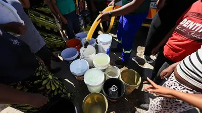 En próspera provincia sudafricana del Cabo Occidental, ganaderos pierden ganado debido a la sequía En próspera provincia sudafricana del Cabo Occidental, ganaderos pierden ganado debido a la sequía