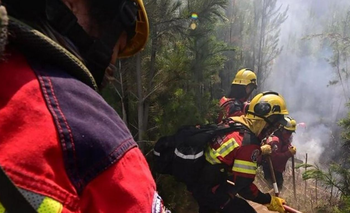 Alerta por incendios en Chubut: el fuego resiste y no hay treguas climáticas | Incendios