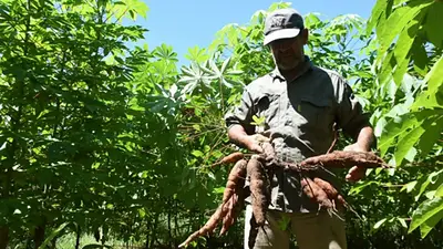 Siembra de Segunda: para el crecimiento regional, Formosa acompañará a 1.500 familias campesinas paipperas Siembra de Segunda: para el crecimiento regional, Formosa acompañará a 1.500 familias campesinas paipperas
