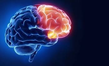 Muestran que se puede mejorar el diagnóstico de demencias combinando diferentes estudios | Ciencia 