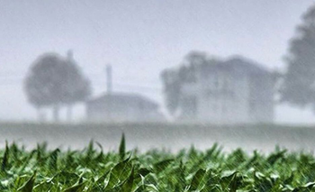 Festeja el campo: qué dice el pronóstico del tiempo para la región central de Argentina | Clima