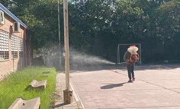 Formosa refuerza la prevención del dengue con fumigaciones en escuelas de la provincia | Educación pública