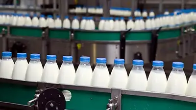 Fábrica láctea Fábrica láctea