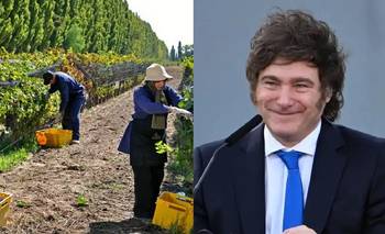 Trabajadores vitivinícolas denuncian despidos y persecución | Crisis económica