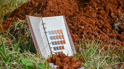 Misiones amplía su base de información estratégica para la toma de decisiones en desarrollo productivo agrario Misiones amplía su base de información estratégica para la toma de decisiones en desarrollo productivo agrario