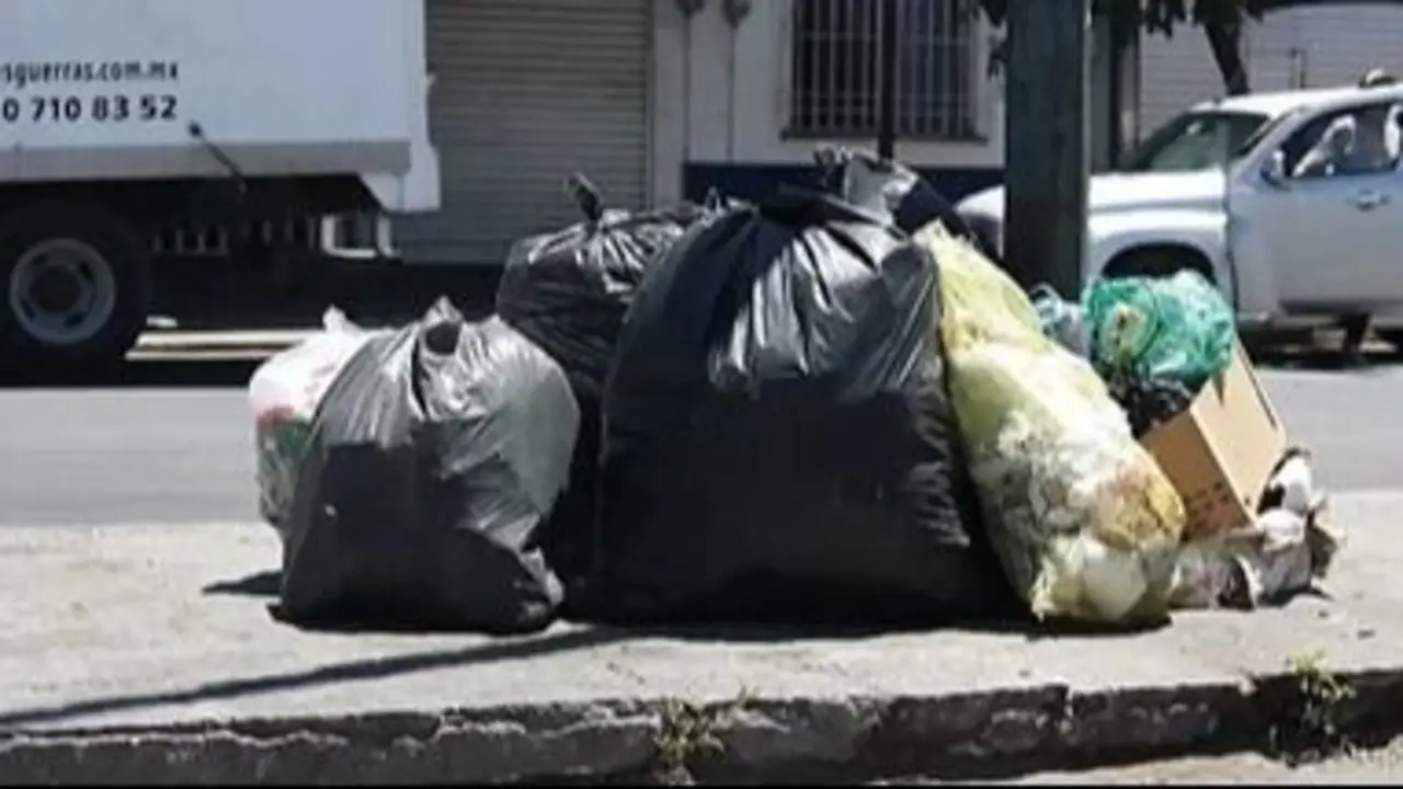 Bolsas de basura.