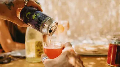 Kombucha Kombucha