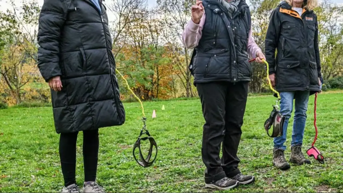 Cómo se practica el Hobby dogging. 