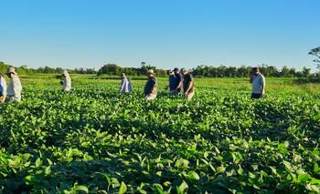 La provincia asiste de manera permanente a paipperos de Ingeniero Juárez | El destape formosa