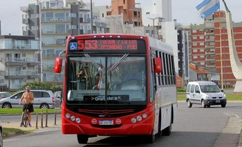 Siete colectivos volverán a su recorrido inicial en la Costa | Transporte público