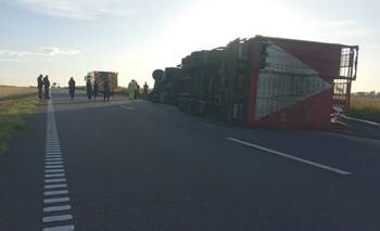 Vuelco en pergamino: murió el chofer del camión y faenaron las vacas   | Tragedia vial