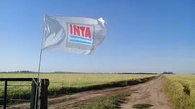 La Rioja se enfrenta a Nación por la venta de tierras del INTA y adelantó que judicializará la medida La Rioja se enfrenta a Nación por la venta de tierras del INTA y adelantó que judicializará la medida