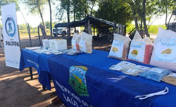 Producción paippera: la Siembra de Segunda llega a más de 1500 familias  | Producción