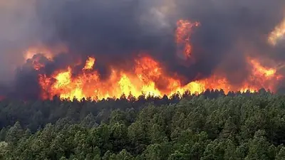 Contra los incendios: Misiones extiende la Emergencia Hídrica y activó la Emergencia Ígnea hasta fin de año Contra los incendios: Misiones extiende la Emergencia Hídrica y activó la Emergencia Ígnea hasta fin de año