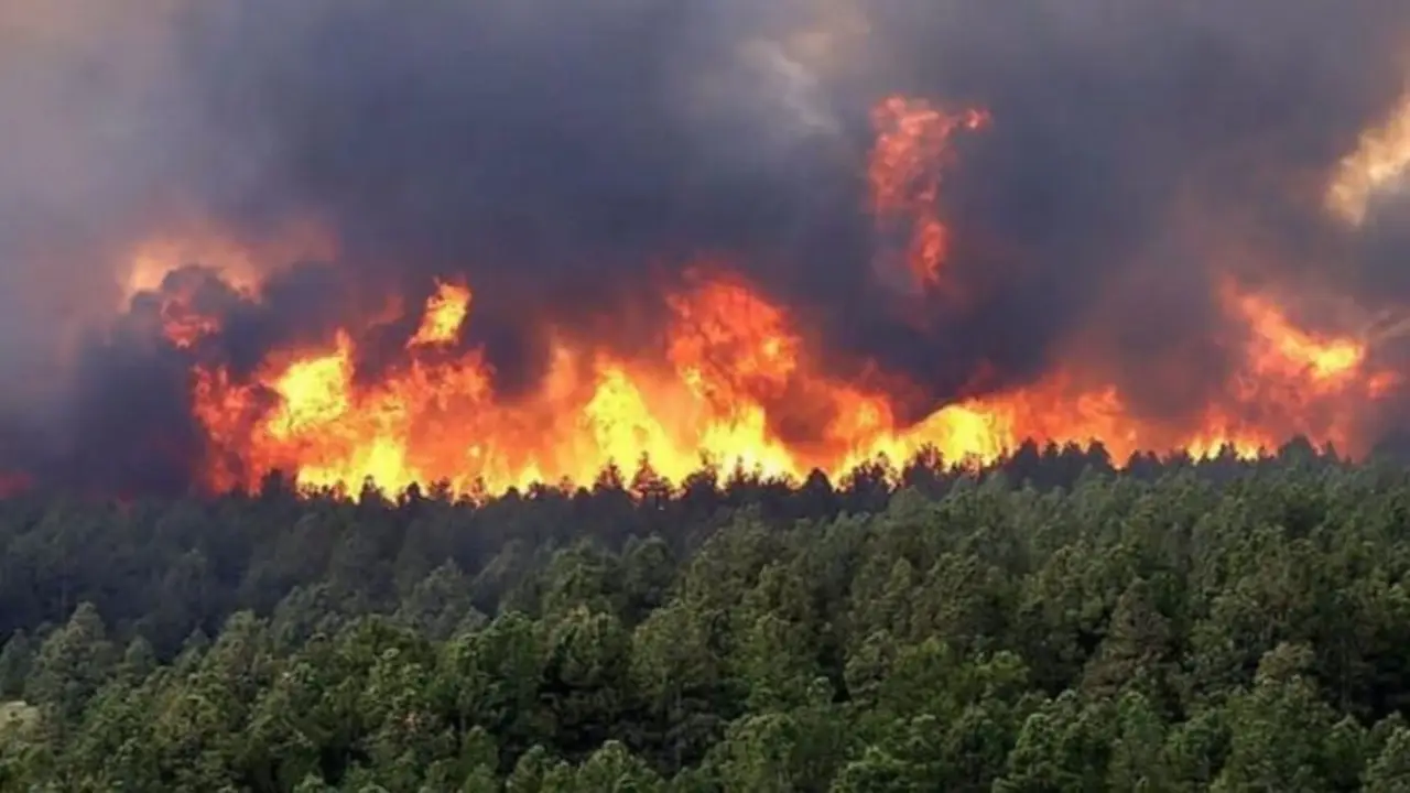 Contra los incendios: Misiones extiende la Emergencia Hídrica y activó la Emergencia Ígnea hasta fin de año