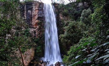 El rincón de Misiones que está lleno de fauna y flora exótica | Escapadas