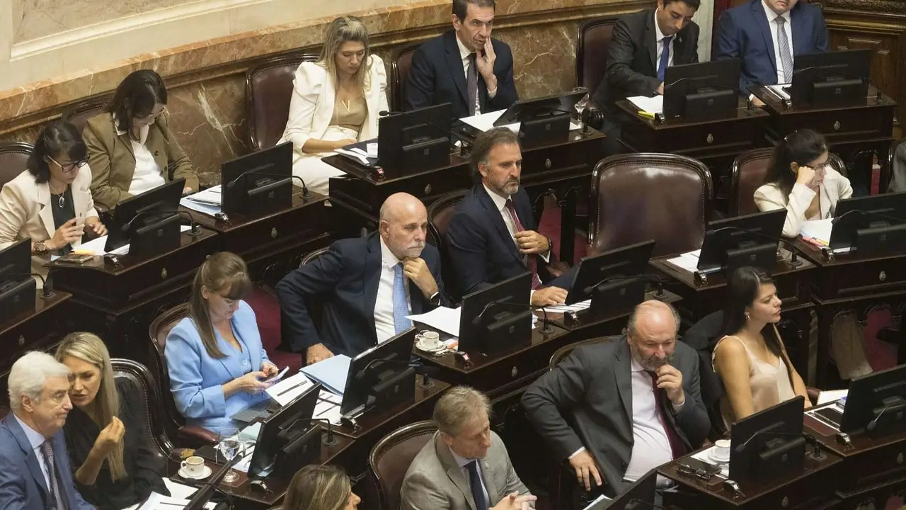 El Gobierno festejó la media sanción de la ley de glaciares, con críticas a los "ecologistas"