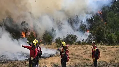 Incendios en Chubut: la Justicia investigará las causas del fuego en Los Alerces Incendios en Chubut: la Justicia investigará las causas del fuego en Los Alerces