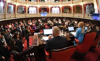 El Senado bonaerense definió autoridades: cómo quedó conformada | Senado bonaerense