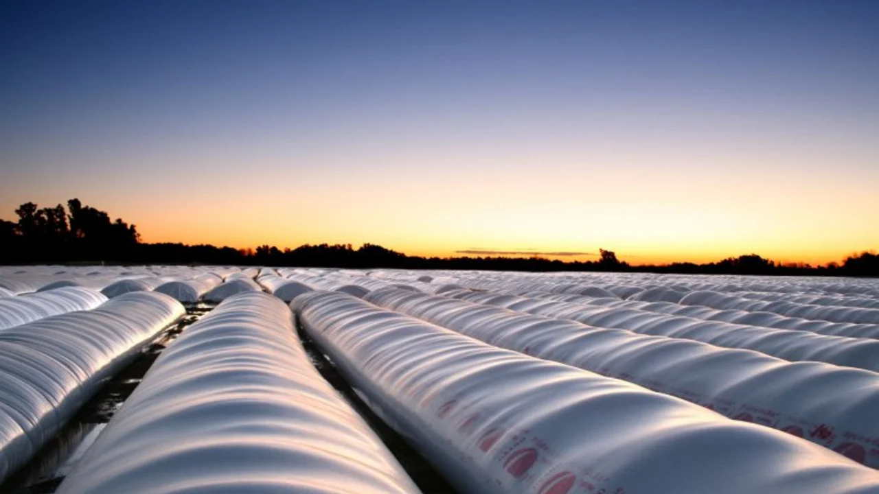 La AFIP crea un registro para controlar la producción y venta de silo bolsas