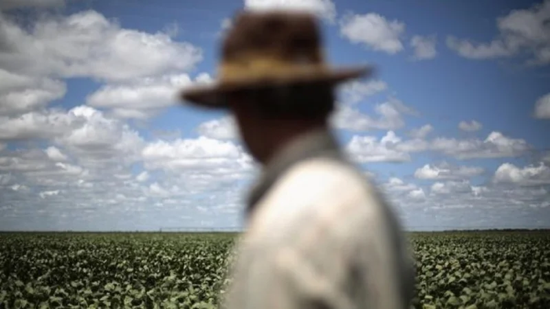La soja pierde 0,8% y vuelve a operar debajo de u$s 370