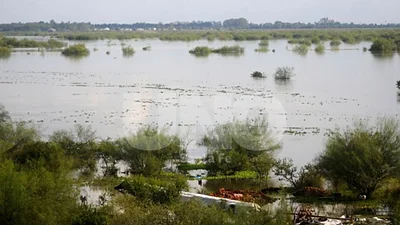 Credicoop lanza líneas de créditos para los inundados de Santa Fe Credicoop lanza líneas de créditos para los inundados de Santa Fe