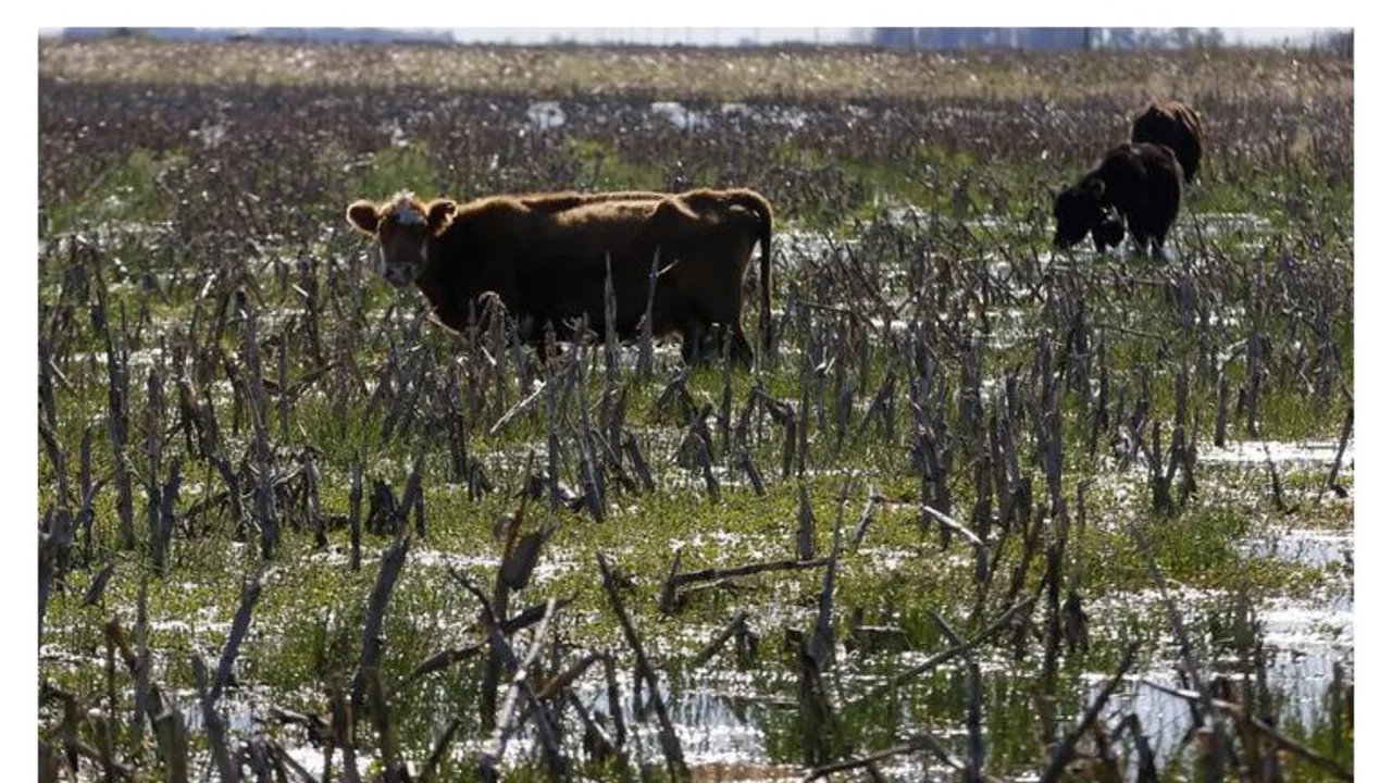Federación Agraria sobre el rechazo al lockout: "Priorizamos que llegue la ayuda por la emergencia"