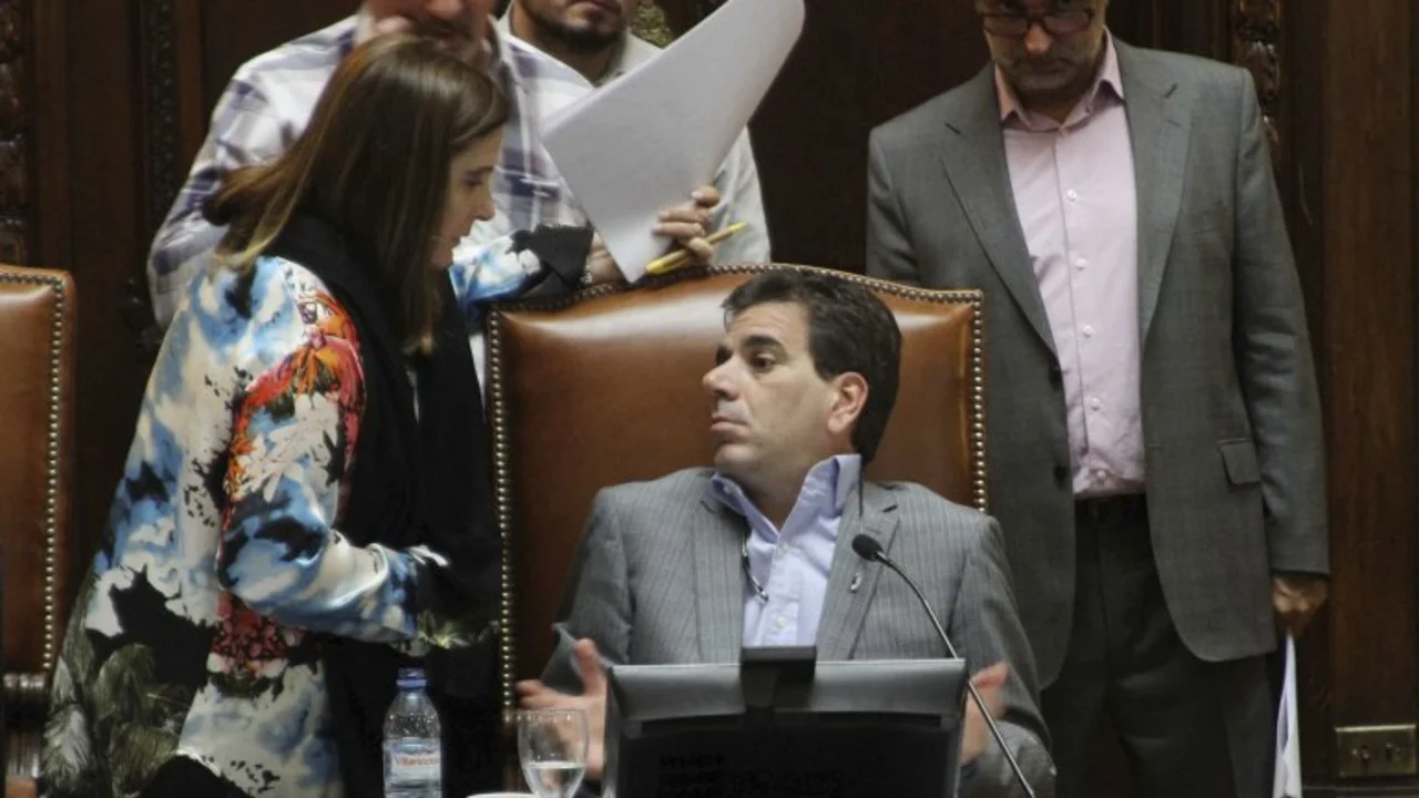 Ritondo pidió que Cavallo "se llame al silencio"