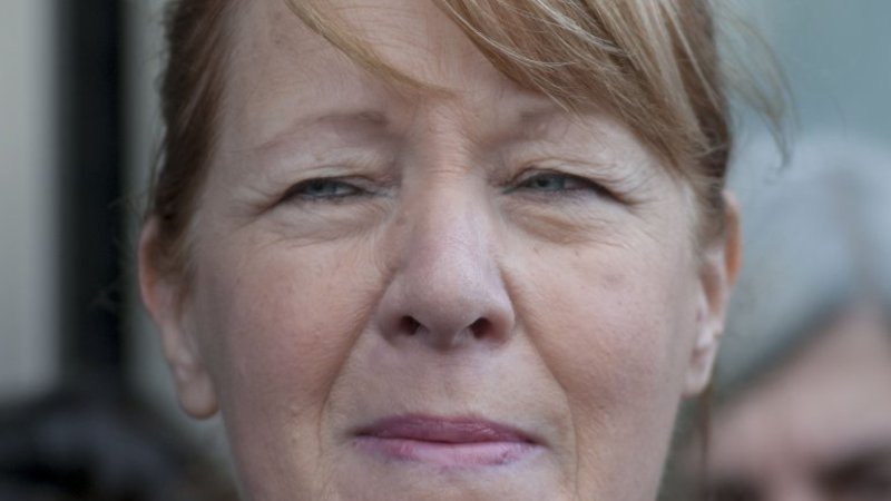 Elecciones 2015: Stolbizer se lanza el 9 de abril