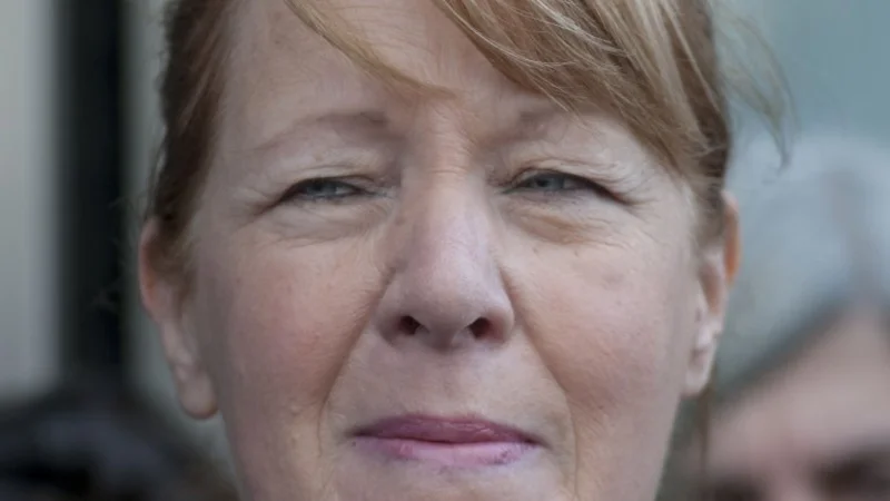 Elecciones 2015: Stolbizer se lanza el 9 de abril