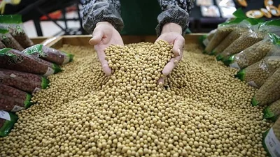 Los grandes productores siguen "sentados" sobre la cosecha Los grandes productores siguen "sentados" sobre la cosecha