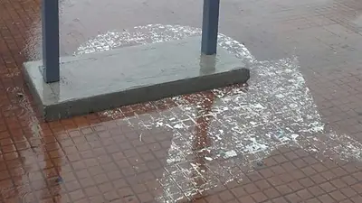 Indignante: la Ciudad tapó los pañuelos de las Madres en el camino por donde hacen la ronda Indignante: la Ciudad tapó los pañuelos de las Madres en el camino por donde hacen la ronda