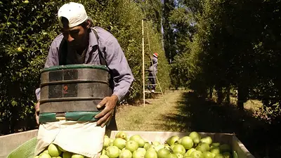 Tras el cierre de Expofrut y Moño Azul, los productores exigen ayuda al Gobierno Tras el cierre de Expofrut y Moño Azul, los productores exigen ayuda al Gobierno