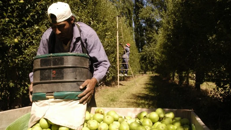 Tras el cierre de Expofrut y Moño Azul, los productores exigen ayuda al Gobierno