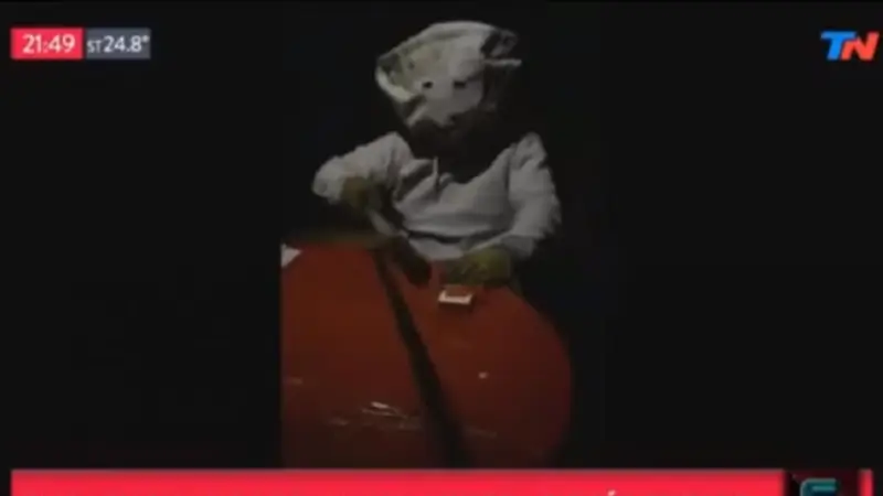 Revelan que un hombre cercano a Cambiemos montó el video de la mina de Río Turbio